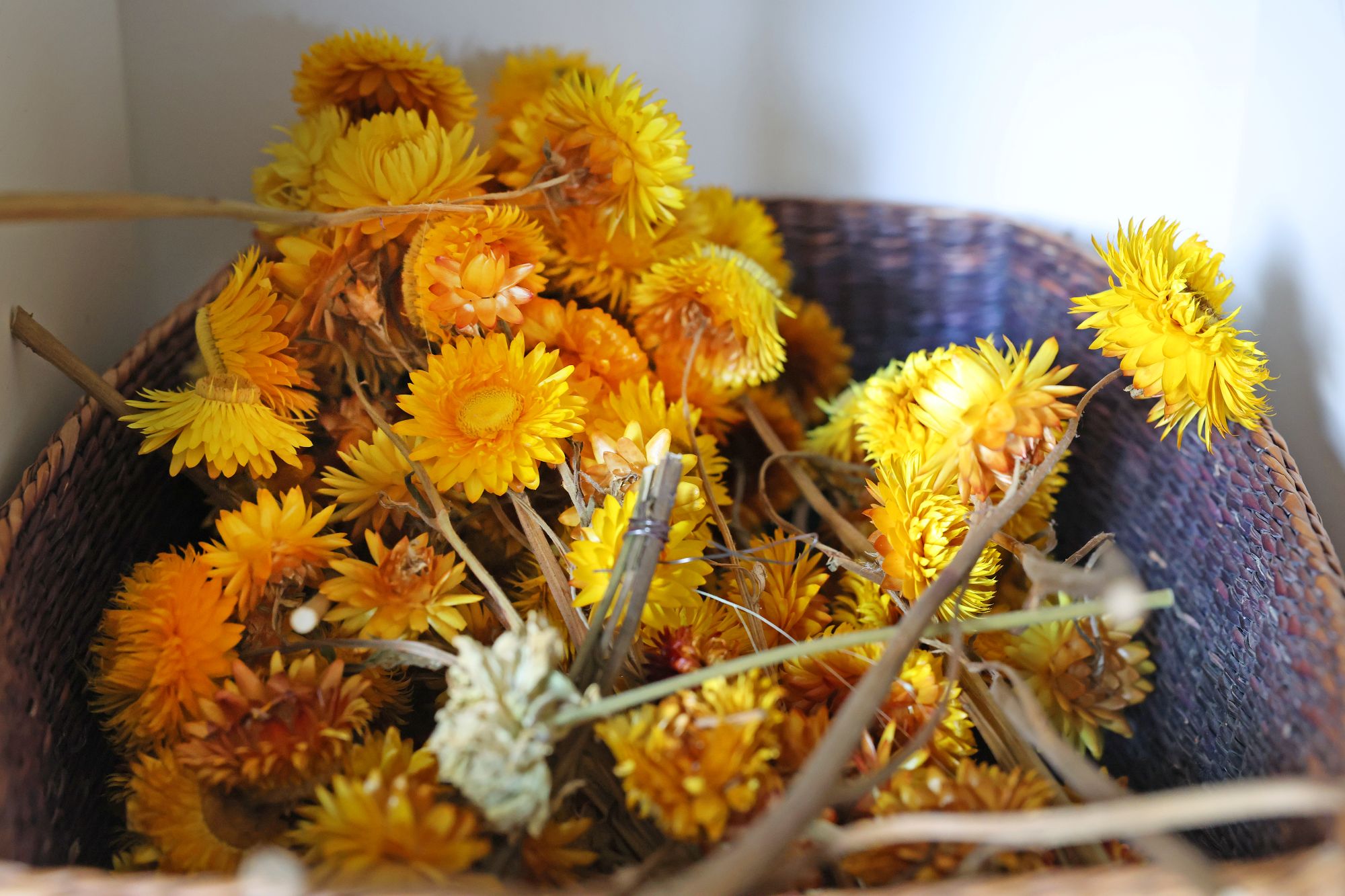 Besondere Düfte verströmen die getrockneten Blumen. (c) Bistum Aachen/Andreas Steindl