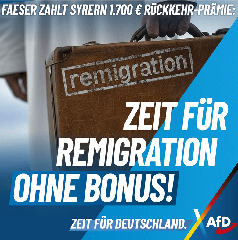Post der AfD auf Intagram. Was macht das mit jungen Menschen mit Migrationshintergrund, wenn so etwas in ihrem Newsfeed auftaucht? (c) KiZ