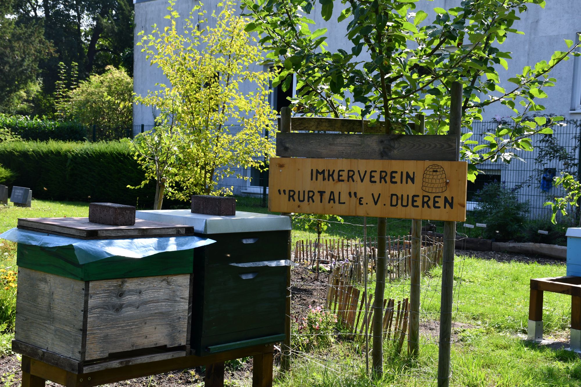 Von Bienenstock bis „Ackerdemie“ – hier wird an der frischen Luft gelernt. (c) Stephan Johnen