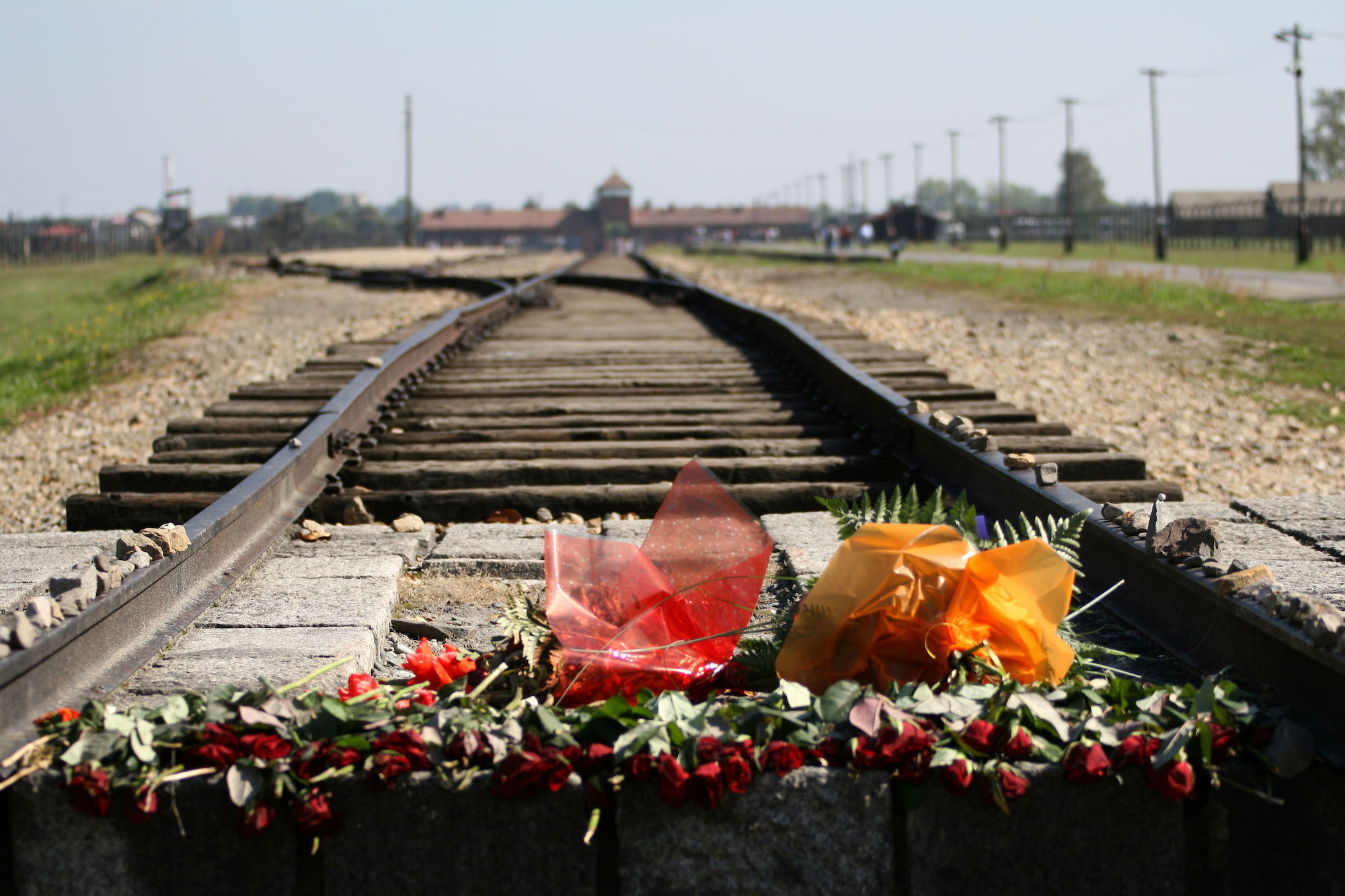 Die Gedenkstätte Auschwitz. Im Rahmen ihres Friedensdienstes begleiten und betreuen die Freiwilligen unter anderem Besuchergruppen. (c) www.pixabay.com