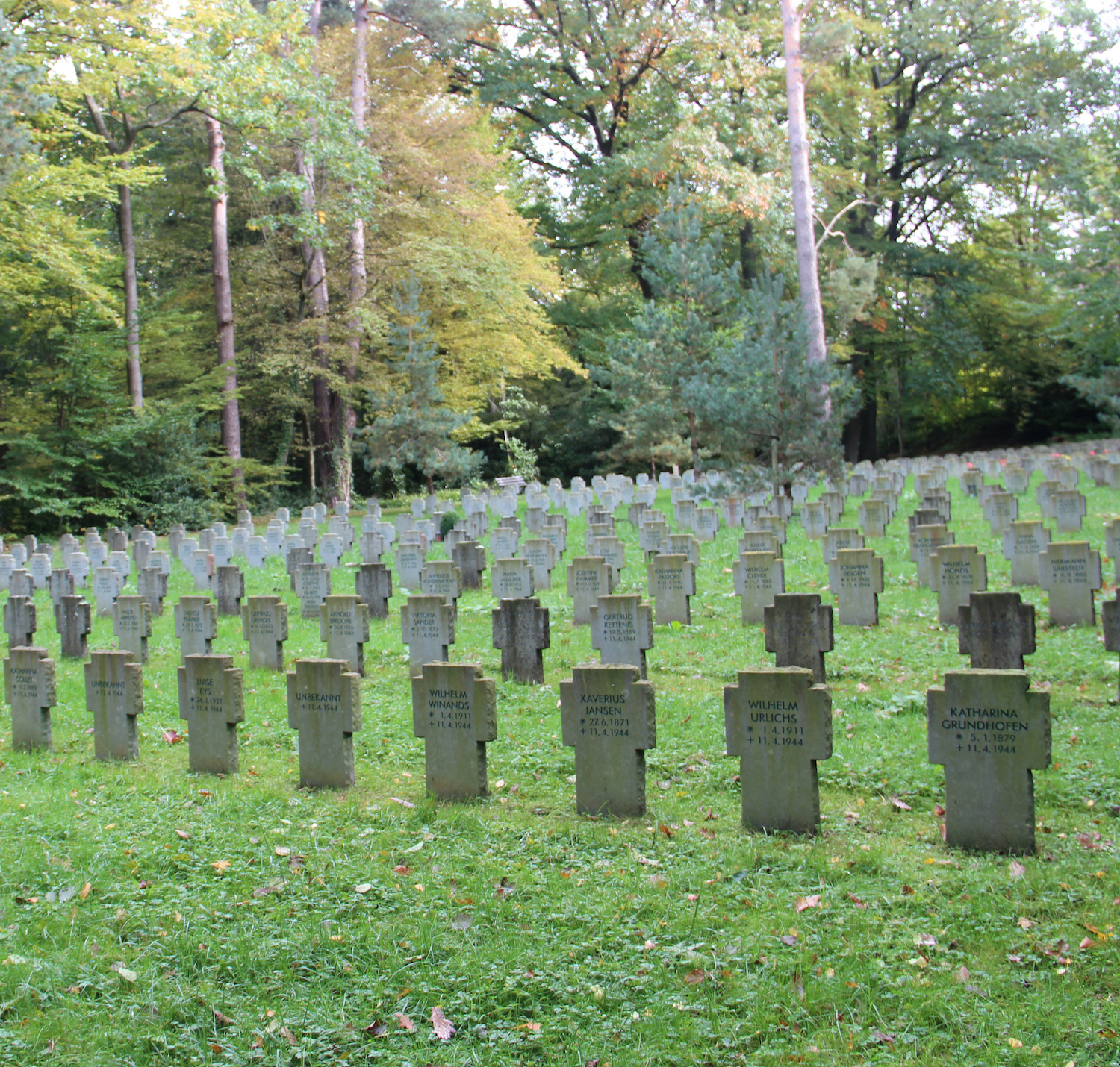 An die Opfer der Weltkriege erinnern 5083 Grabmäler auf dem Ehrenfriedhof der Stdt Aachen. (c) Andrea Thomas