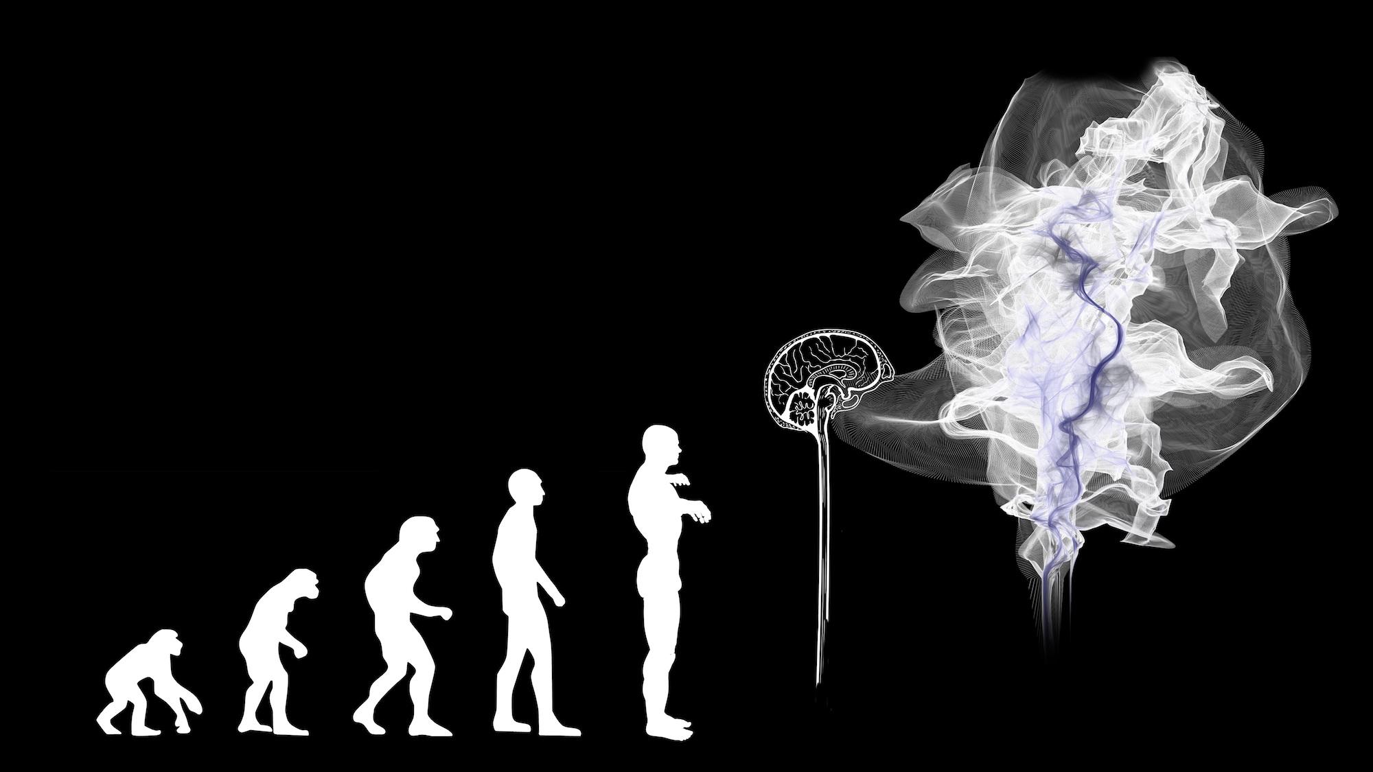 Vom Primaten zur künstlichen Intelligenz: Sieht so die Evolution aus? (c) www.pixabay.com