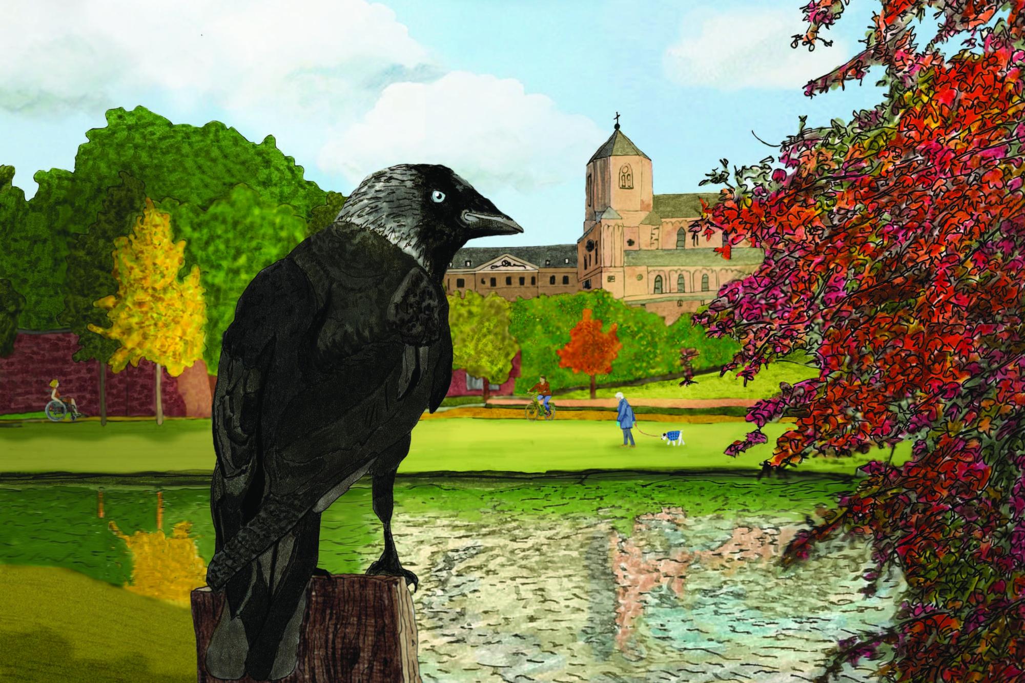 Die Dohle Dolores zeigt Kindern und Erwachsenen die Stadt aus der Vogelperspektive.