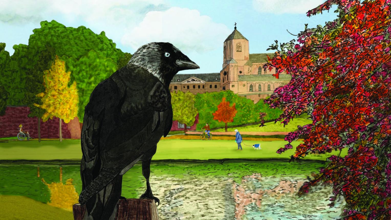 Die Dohle Dolores zeigt Kindern und Erwachsenen die Stadt aus der Vogelperspektive. (c) Meike Hahnraths