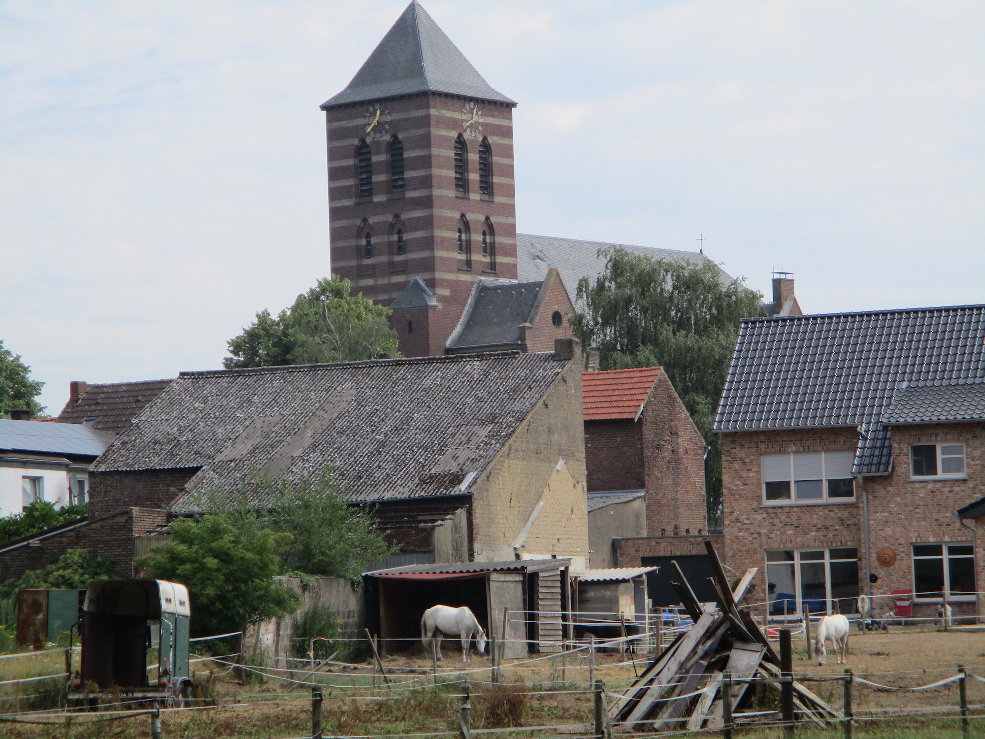 Der Kirchturm von St. Gertrud in Havert ist ein Orientierungspunkt auf den Wegen um den Ort. (c) Garnet Manecke
