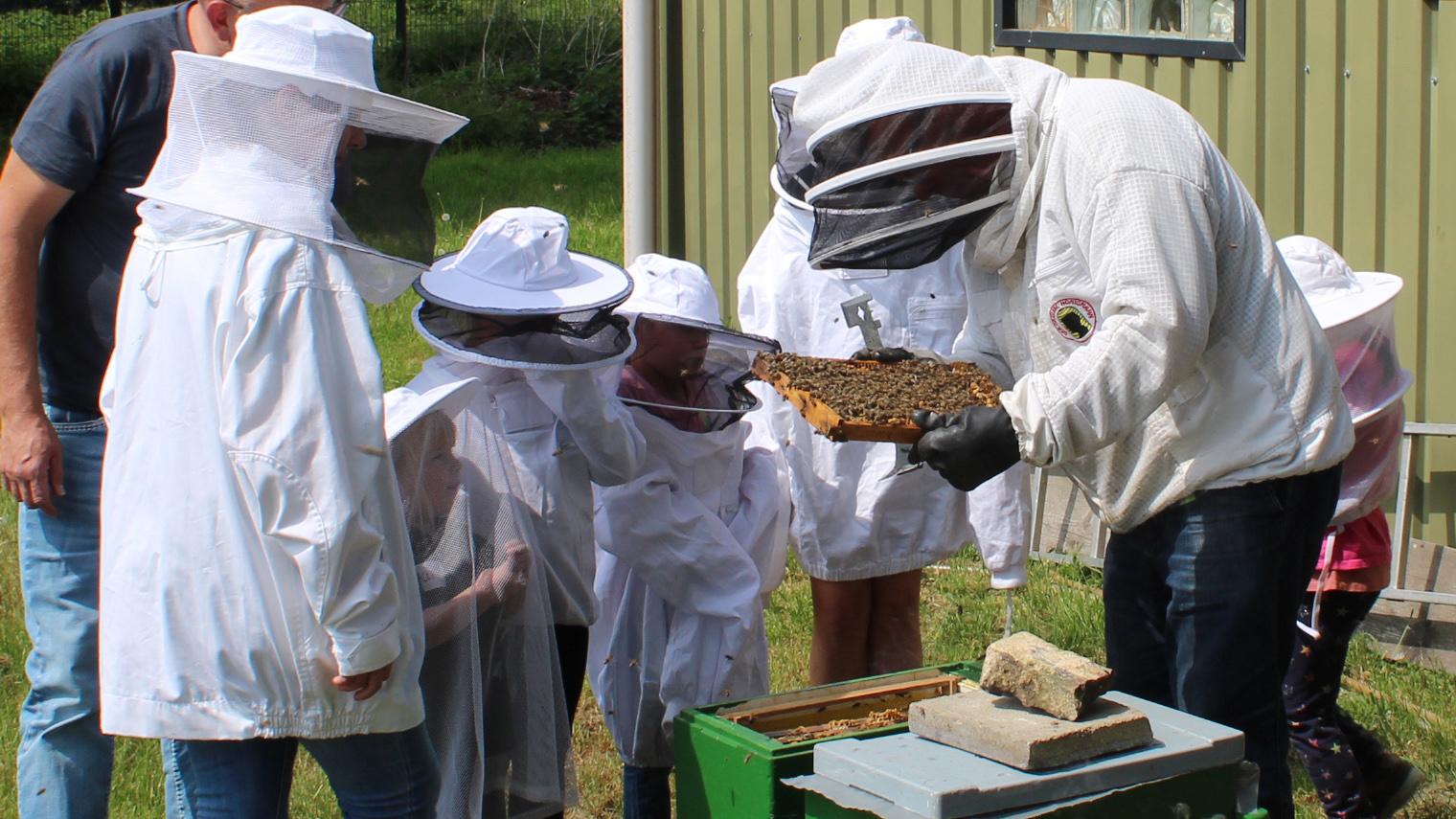 Imker Manfred Kochs zeigt einer Kleingruppe den Aufbau des Bienenstocks und die Zusammenarbeit im Bienenvolk. (c) BDSJ Aachen