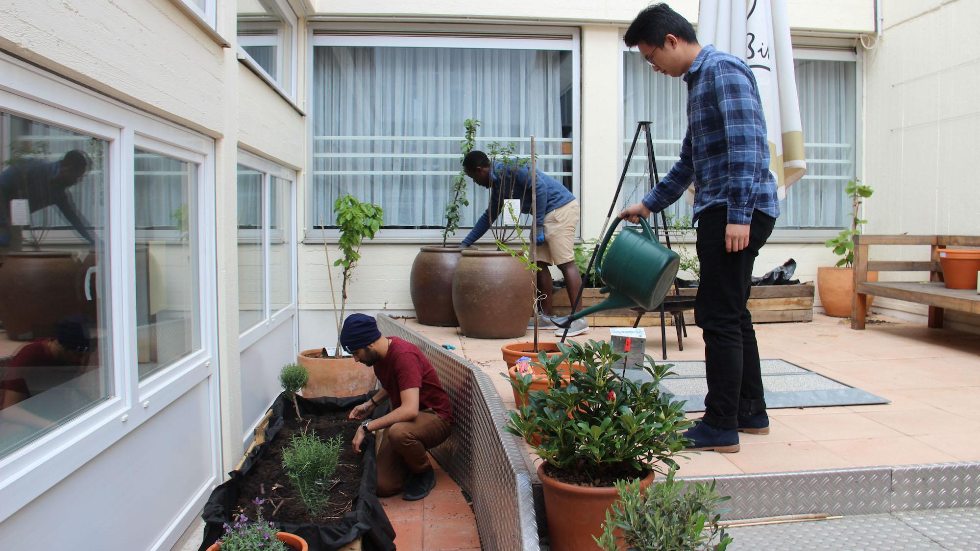 Jeder hilft mit und zusammen mit den Pflanzen wächst auch die Gemeinschaft zwischen den Studierenden. (c) Andrea Thomas