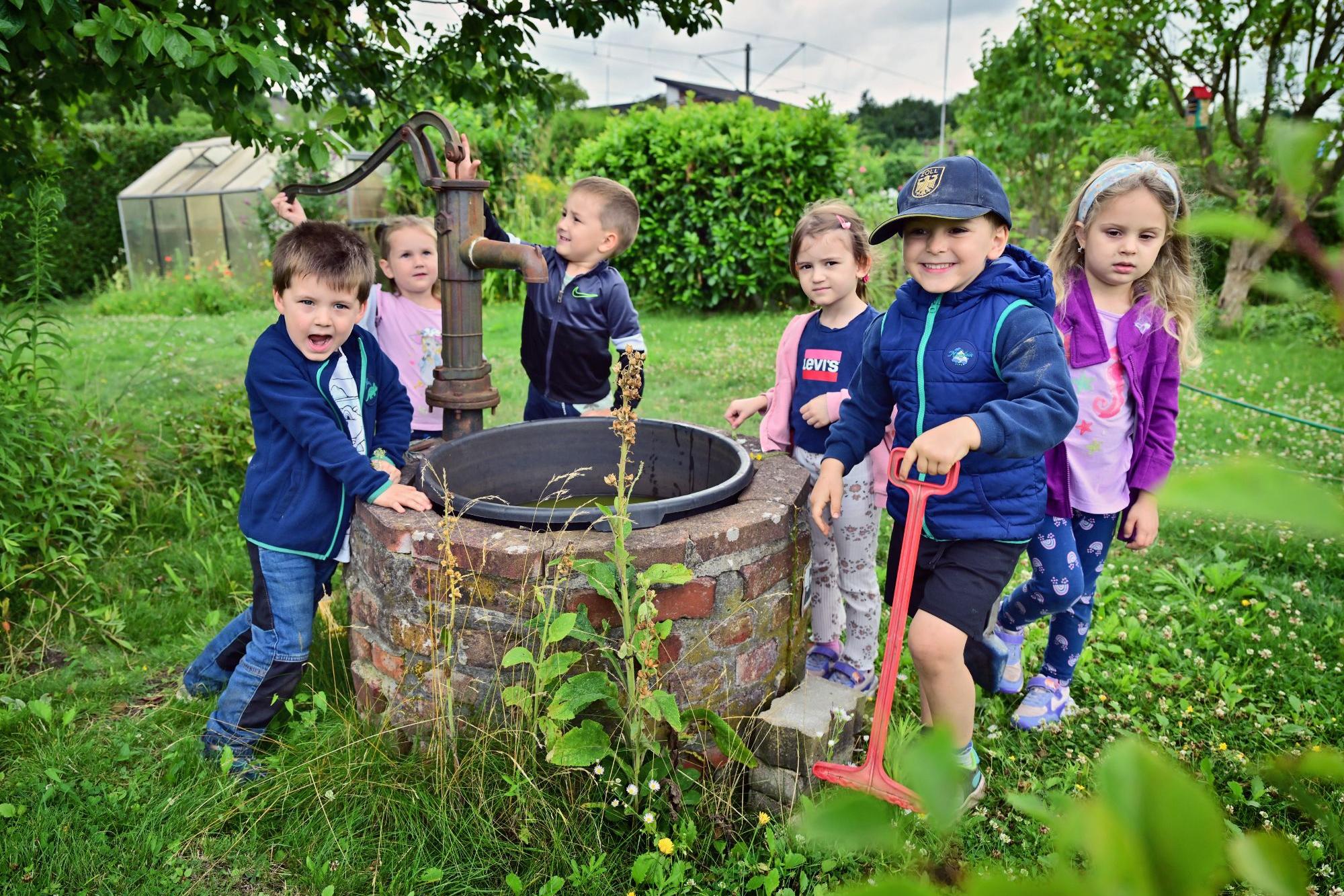 Einmal pro Woche sind die Kinder im Naschgarten und verfolgen, was sich tut.