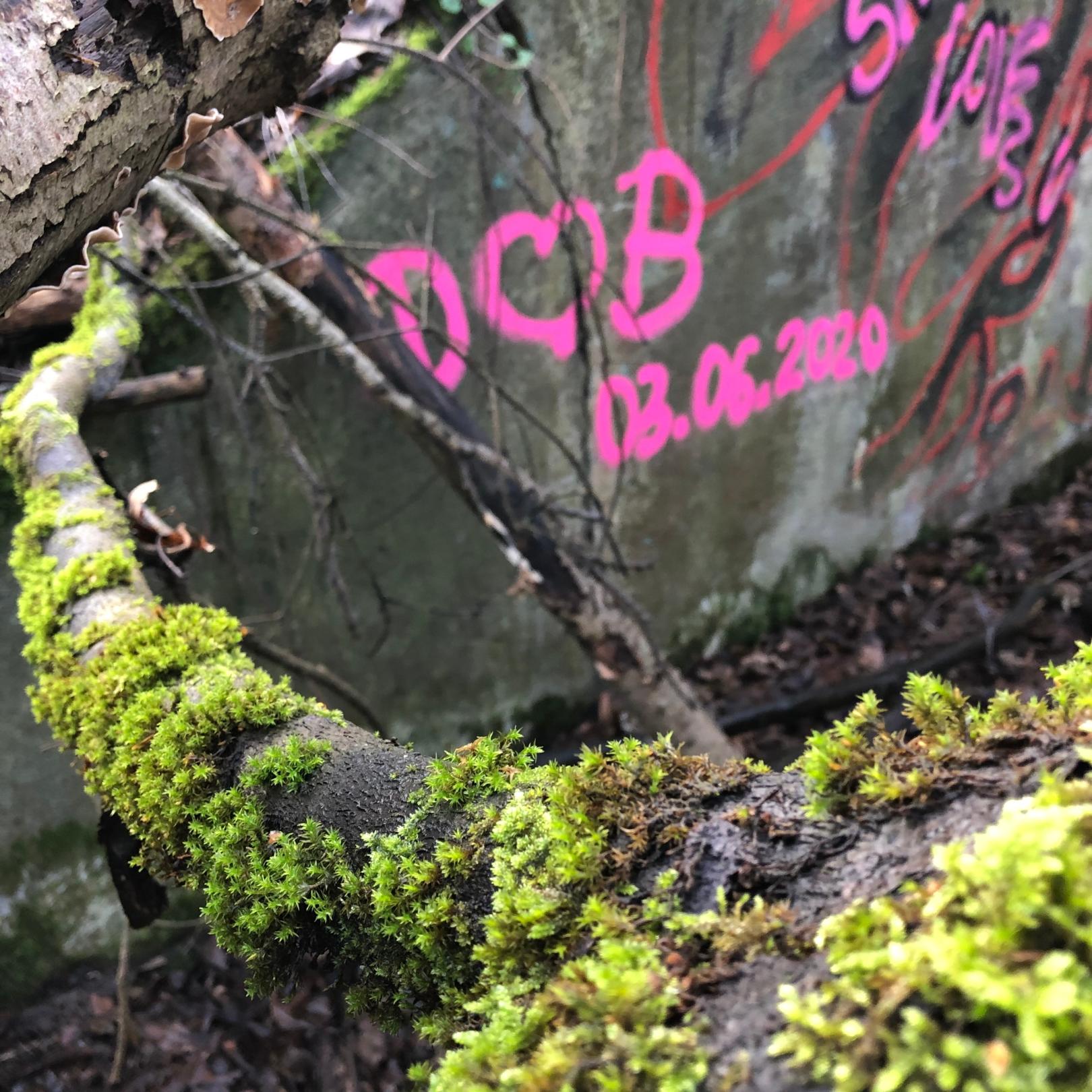 Manchmal begegnet einem die Liebe, wo man sie am wenigsten erwartet. Zum Beispiel in einer Liebesbotschaft an einer grauen Betonwand irgendwo im Nirgendwo. (c) Garnet Manecke