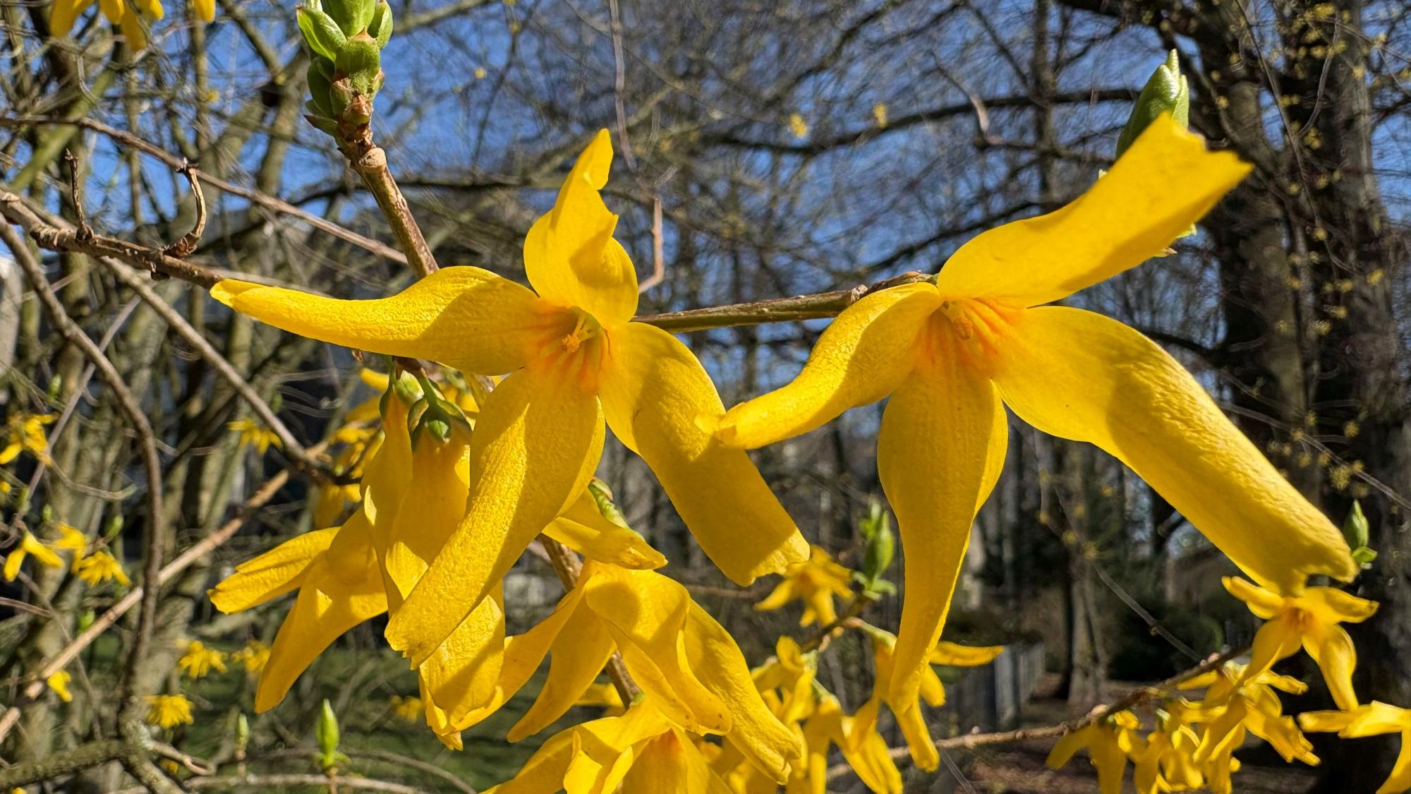 Im Frühling ist zu erleben, wie die Natur wieder aufersteht.