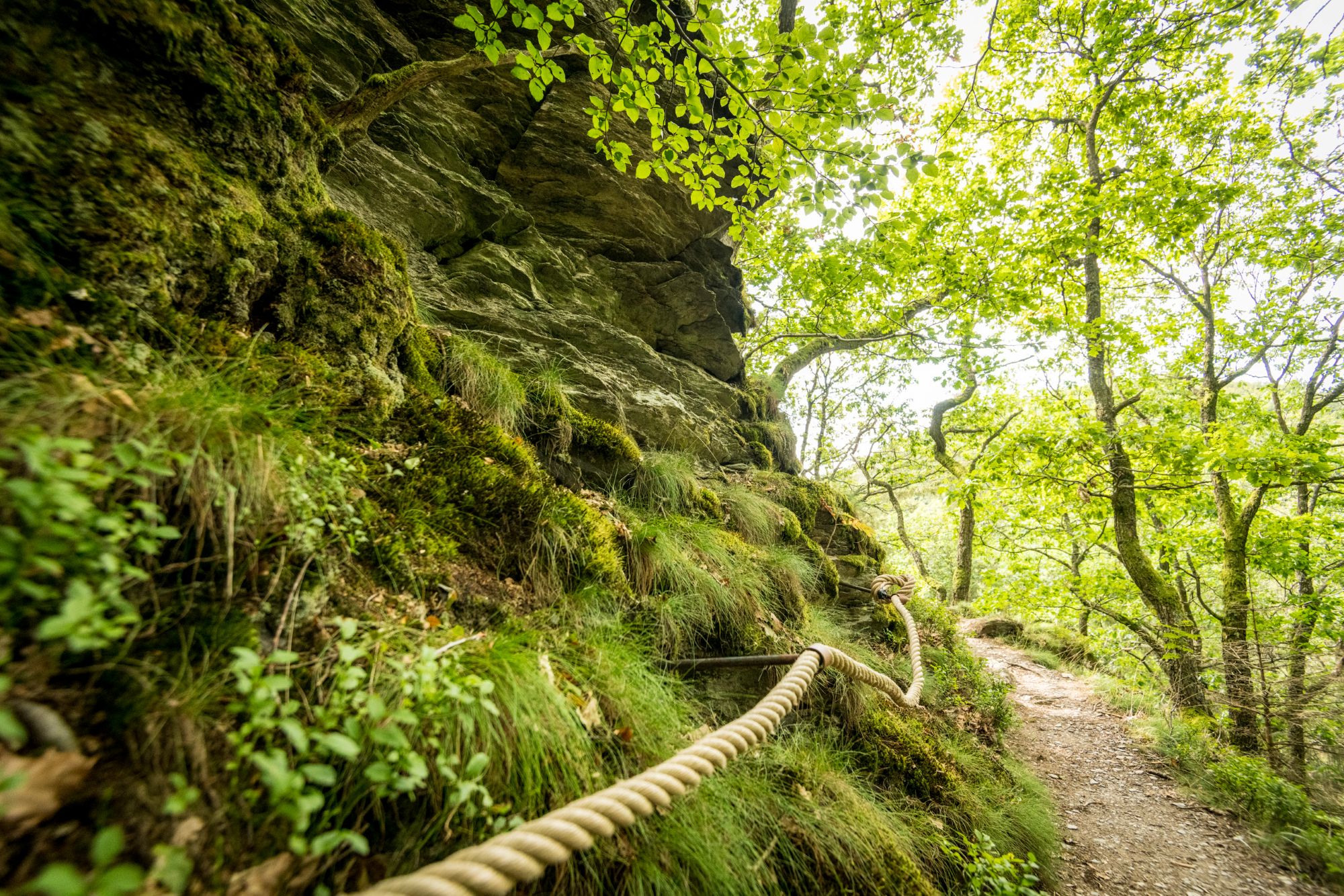 In der Natur zu sein, ist die unmittelbarste und einfachste Form, Kraft zu schöpfen und sich etwas Gutes zu tun. (c) Dominik Ketz