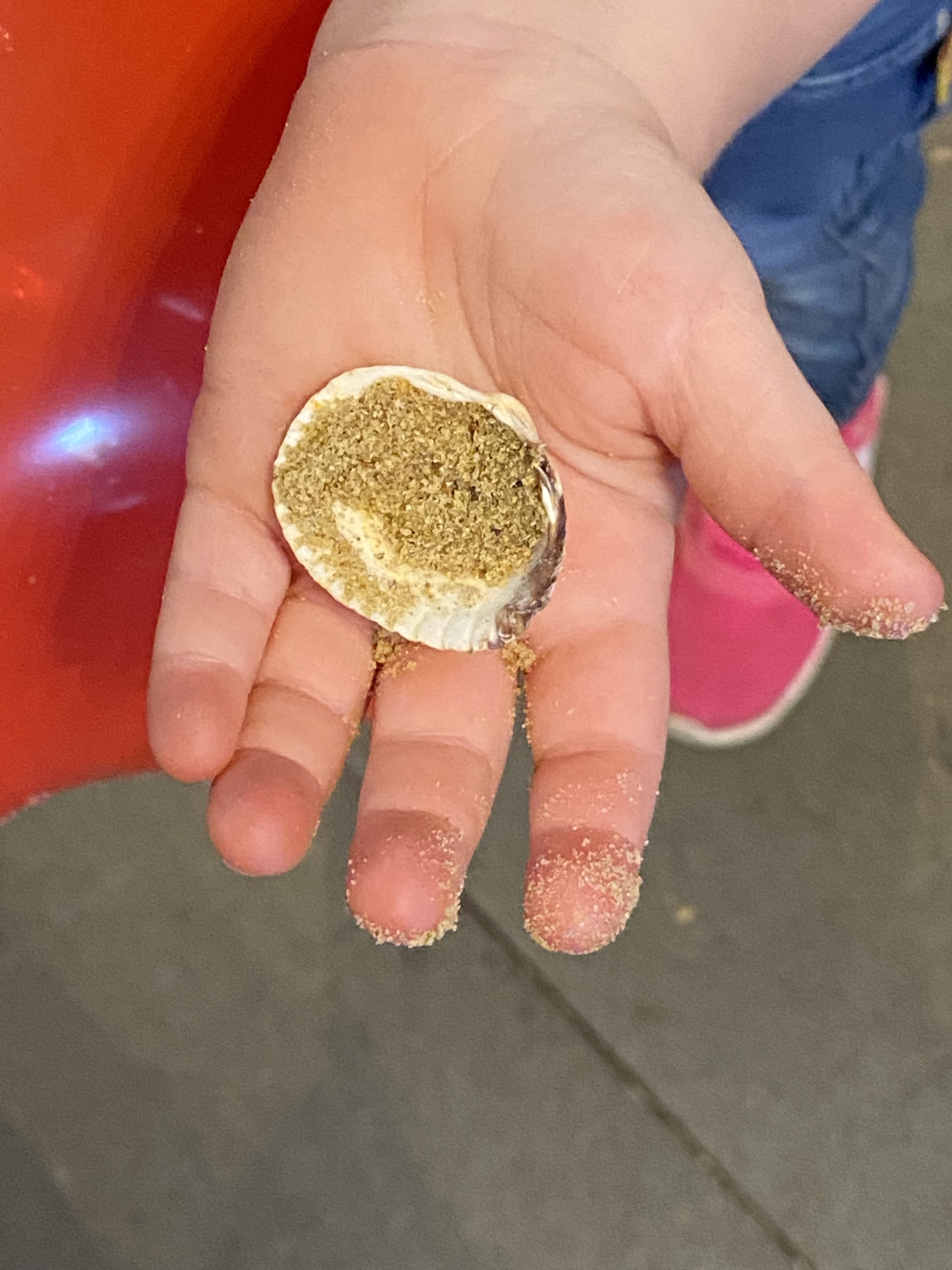 Kinder dürfen eine Muschel mitnehmen, die sie im Sand gefunden haben. (c) Garnet Manecke