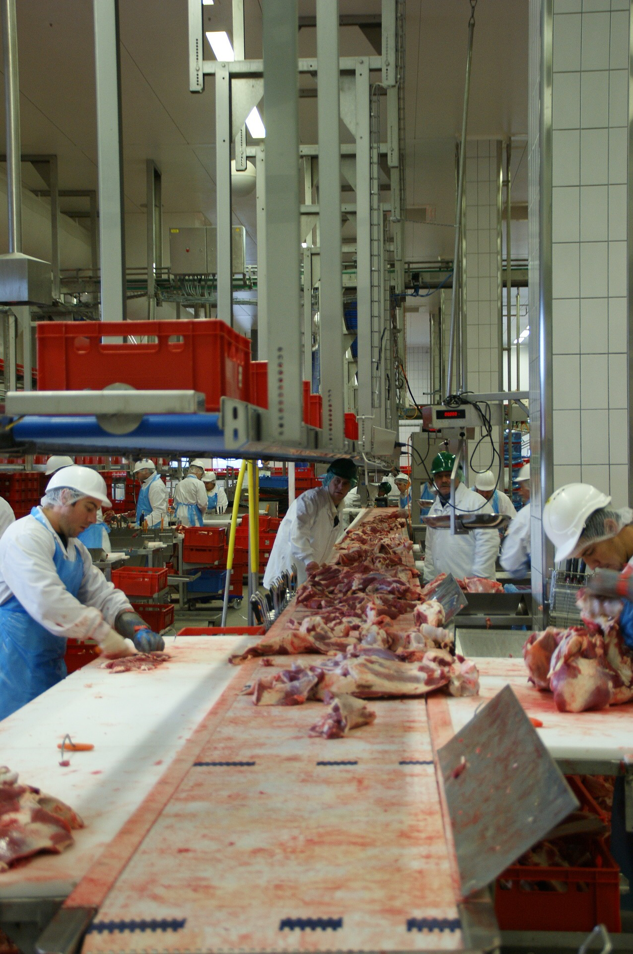 Jüngst machten die Bedingungen in der Fleischindustrie in Deutschland Negativschlagzeilen. (c) www.pixabay.com