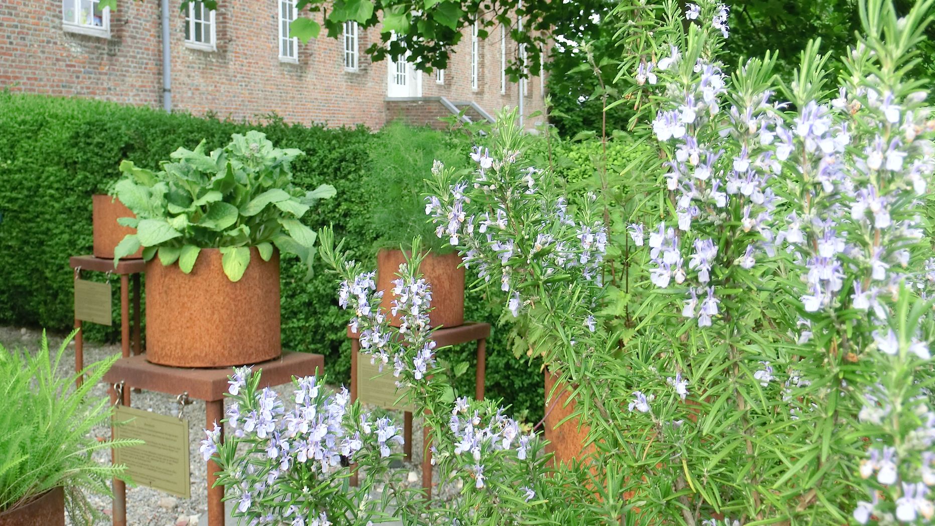 Ein Heilkräutergarten war die Basis der Klostermedizin. (c) Garnet Manecke