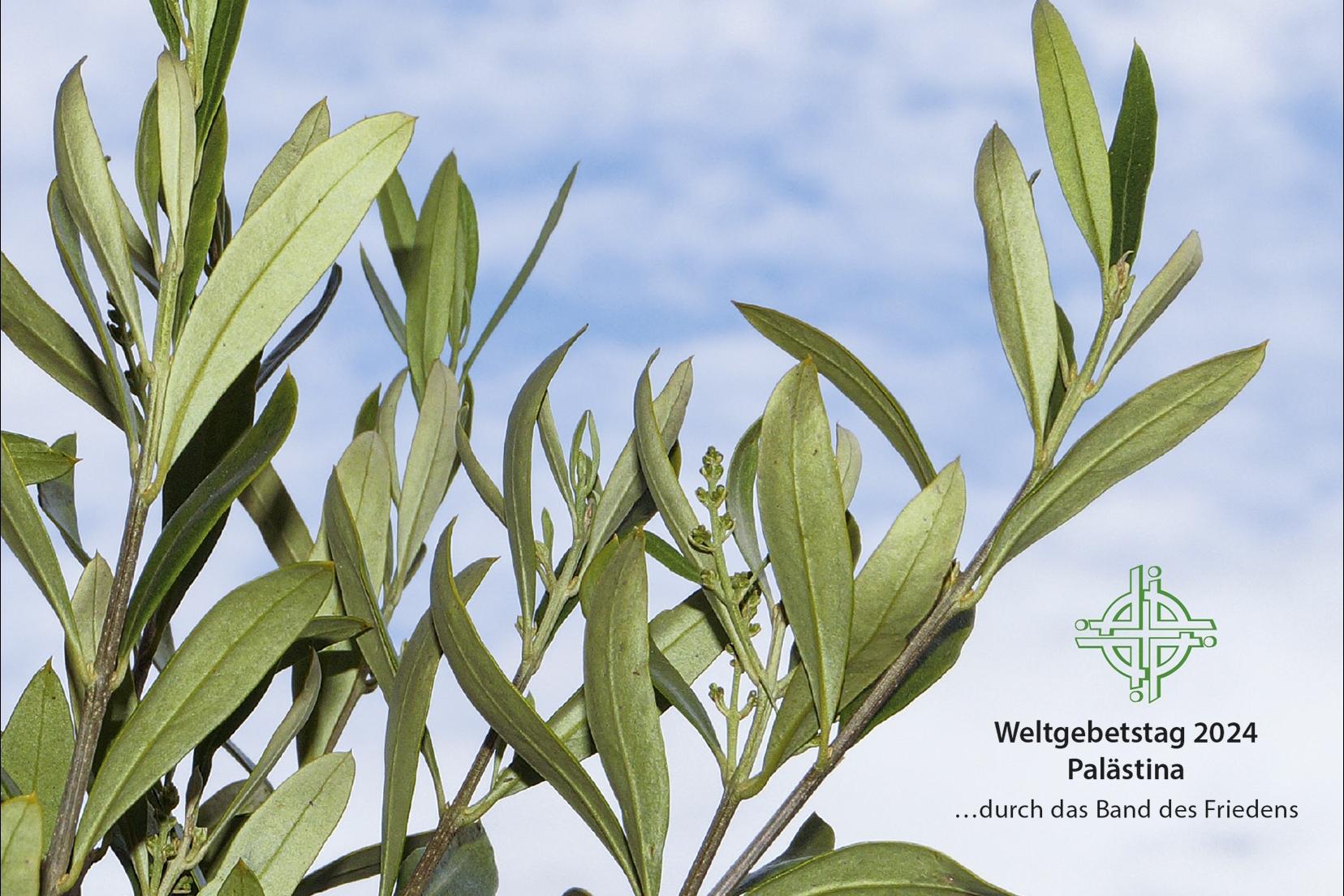 Statt eines künstlerisch gestalteten Titelbildes  gibt es im  Material für die deutschen Vorbereitungsgruppen ein neutrales Motiv mit Oliven-zweigen als Friedens- symbol.