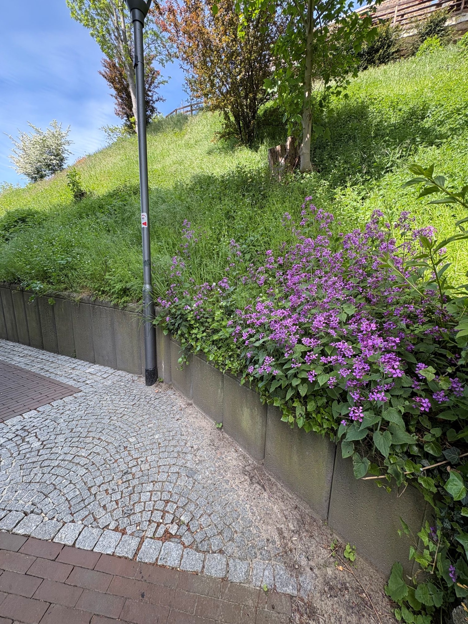 Zum Standort der früheren Synagoge führt eine Gasse. (c) Garnet Manecke