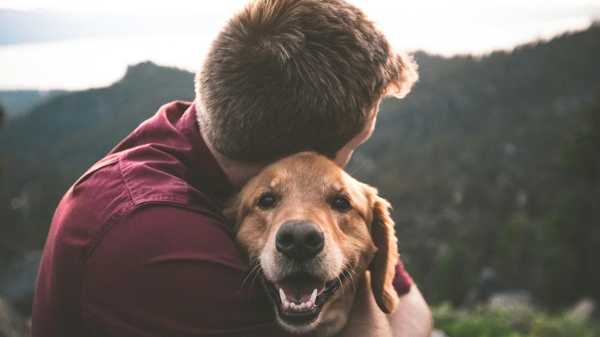 Der Hund als der treue Begleiter des Menschen. Das ist seit etwa 20 000 Jahren so. (c) Eric Ward/unsplash.com