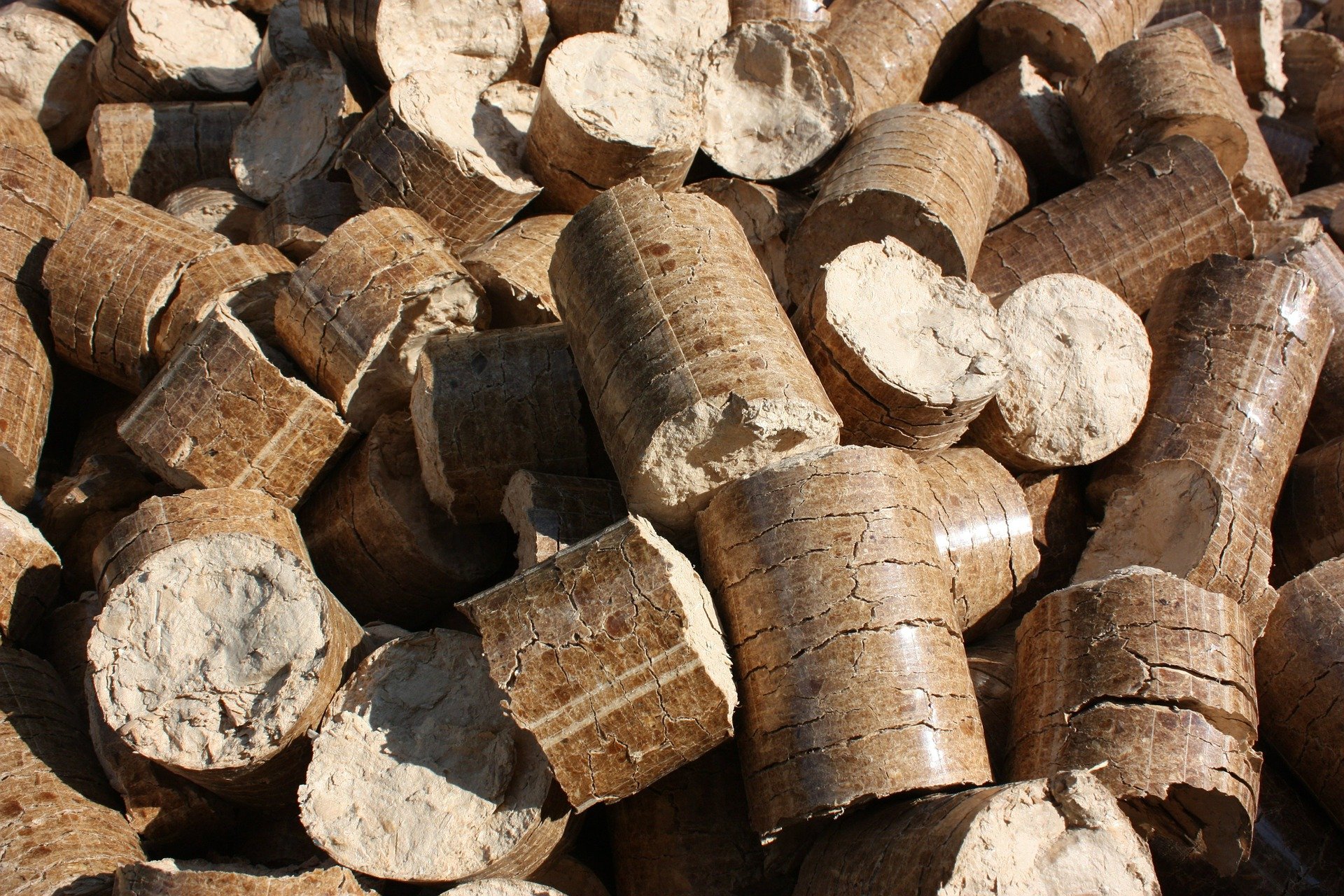 Holzpellets spenden Wärme und sind eine Alternative zu fossilen Energieträgern wie Gas oder Öl – auch für Kirchenheizungen.