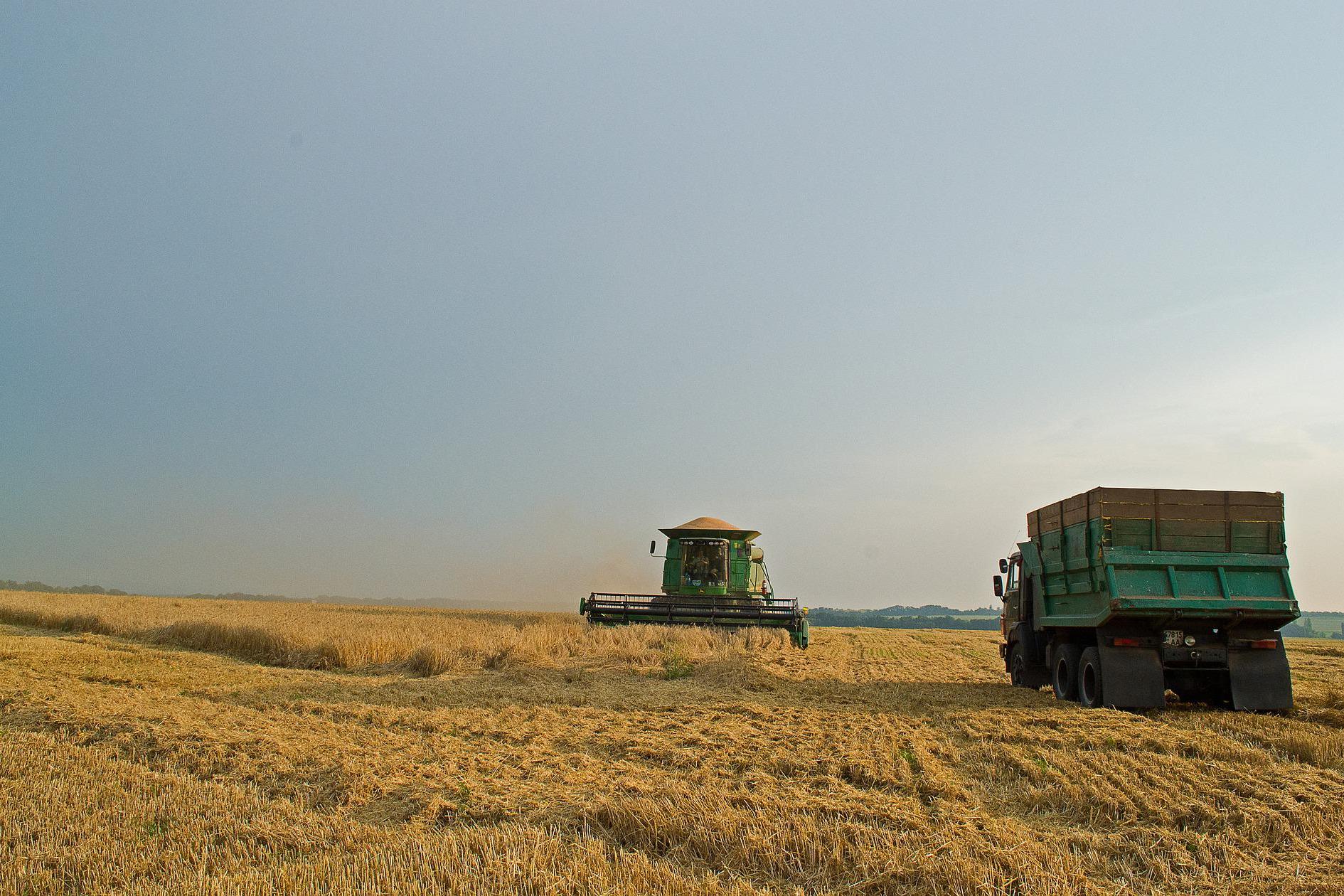 Die Ukraine ist der „Getreidesilo Europas“. Krieg und Inflation verschärfen den Hunger  in der Welt.